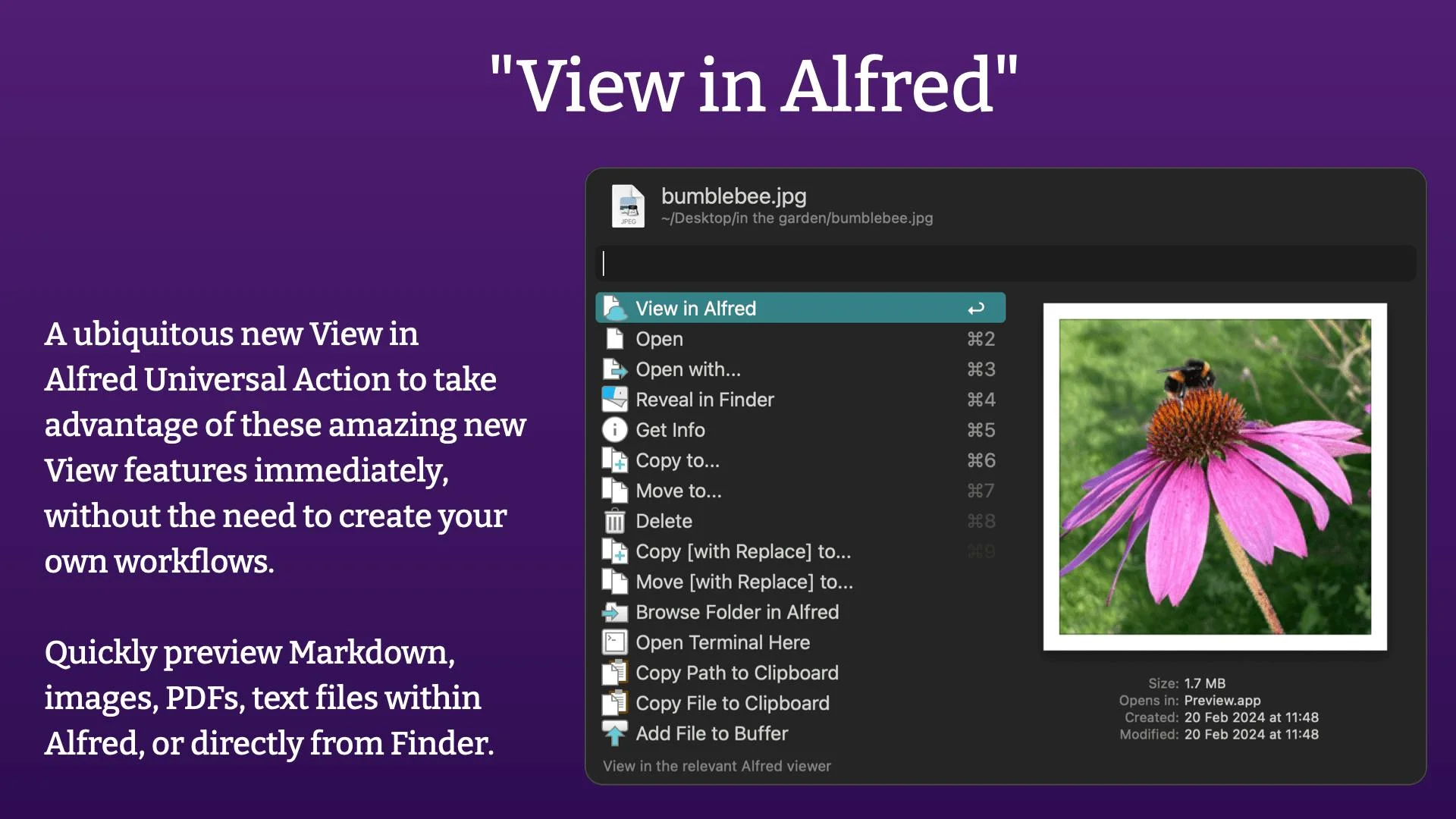 Alfred screenshot 7