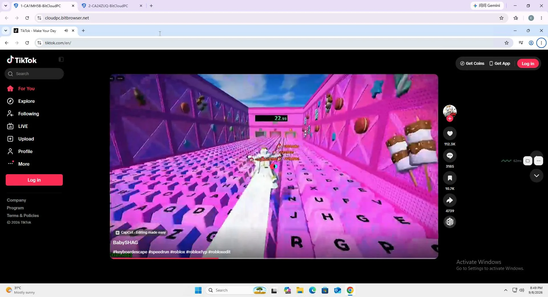 BitBrowser screenshot 2