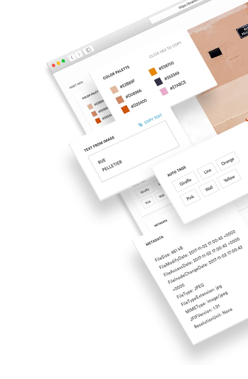 Brandfolder screenshot 2