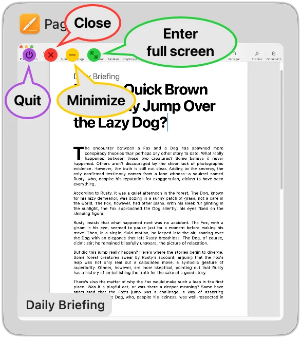 DockDoor screenshot 2