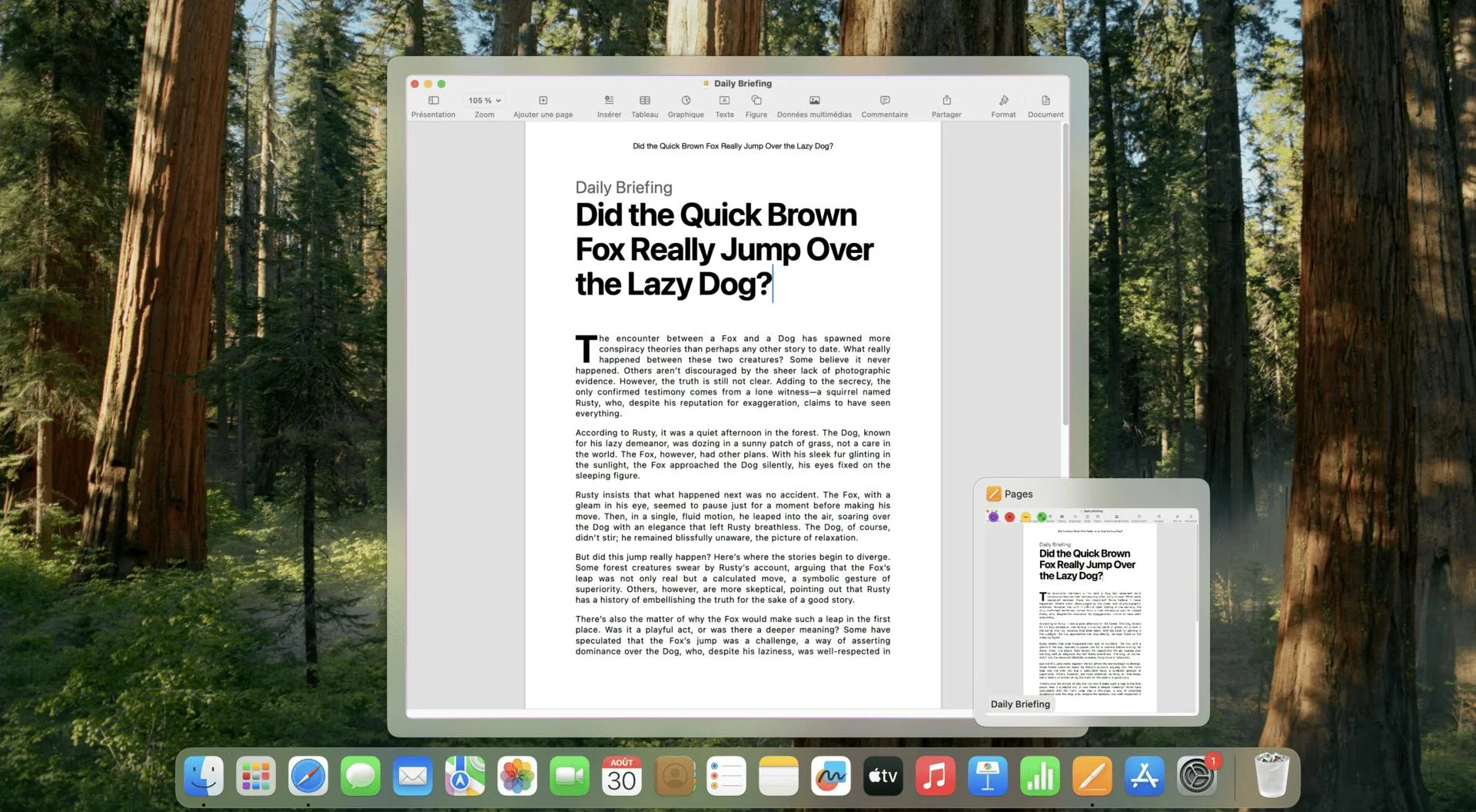 DockDoor screenshot 3