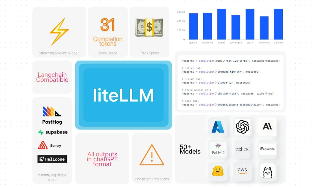 liteLLM screenshot 3