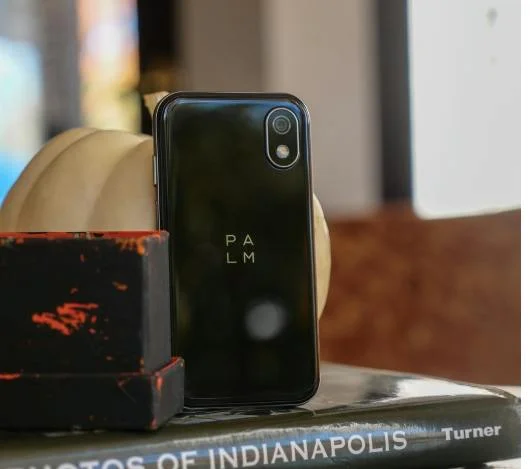 Palm screenshot 4