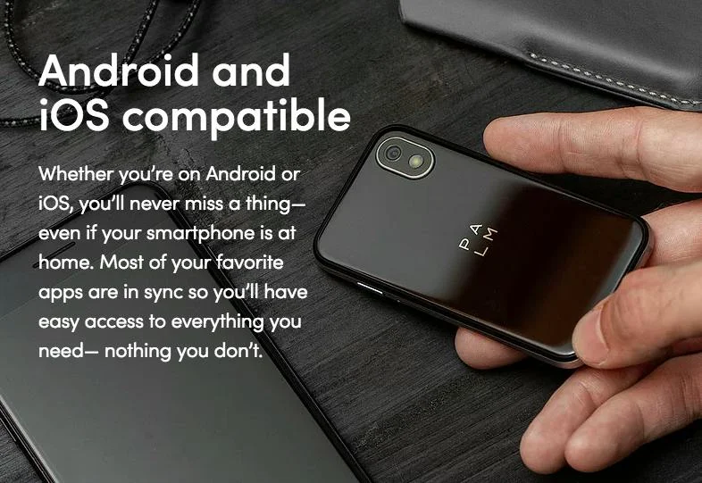 Palm screenshot 5