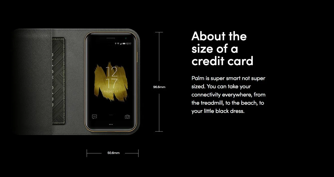 Palm screenshot 8