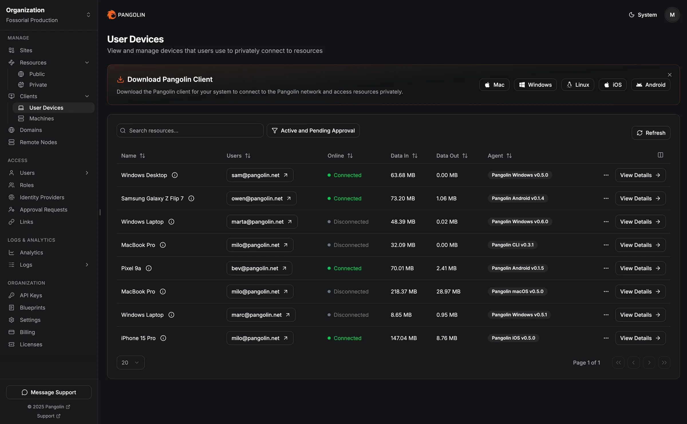 Pangolin screenshot 2