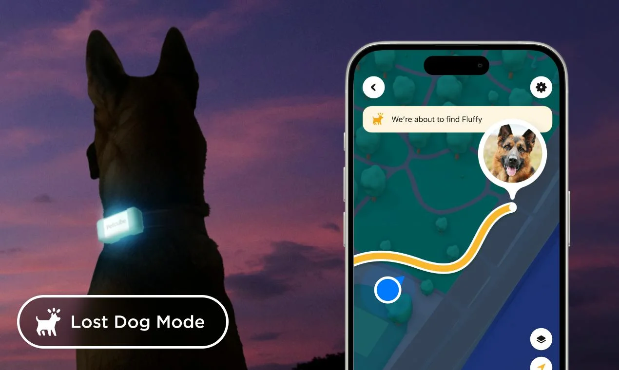 Petcube🐾 screenshot 3