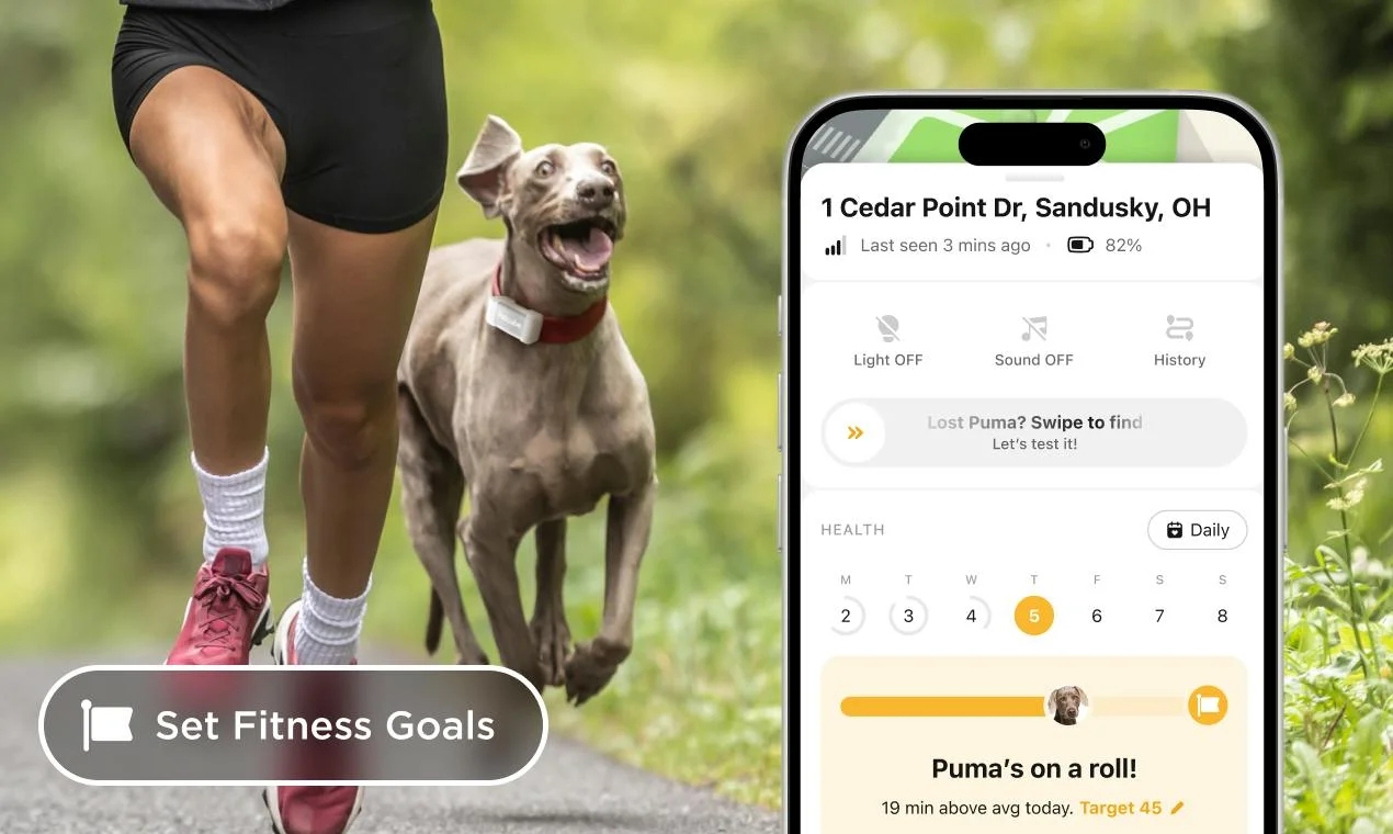 Petcube🐾 screenshot 5