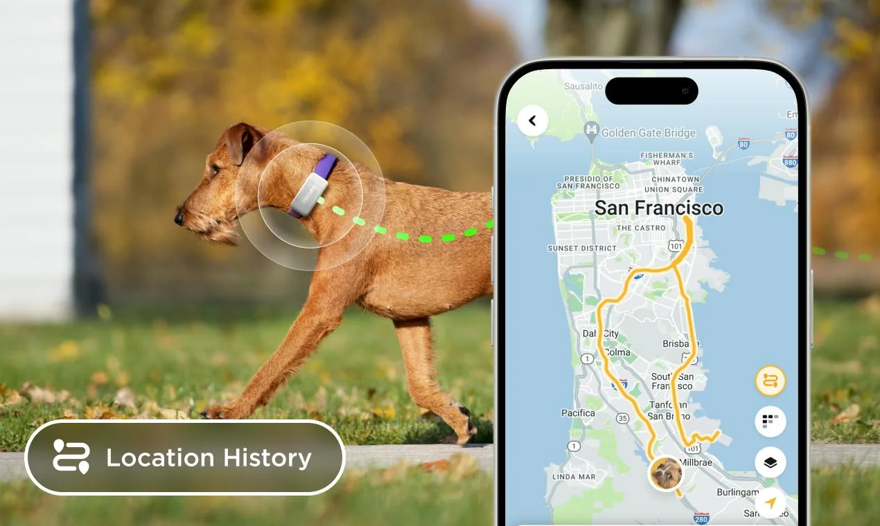Petcube🐾 screenshot 6