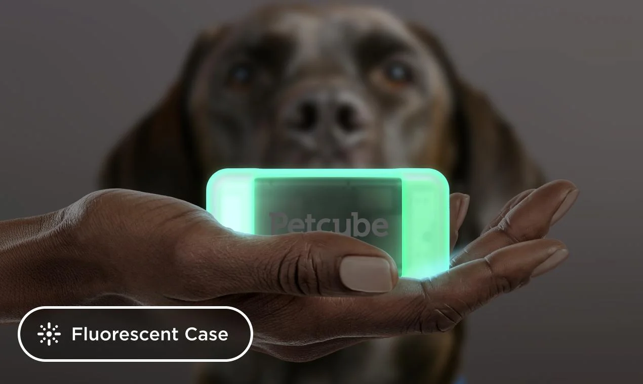 Petcube🐾 screenshot 7