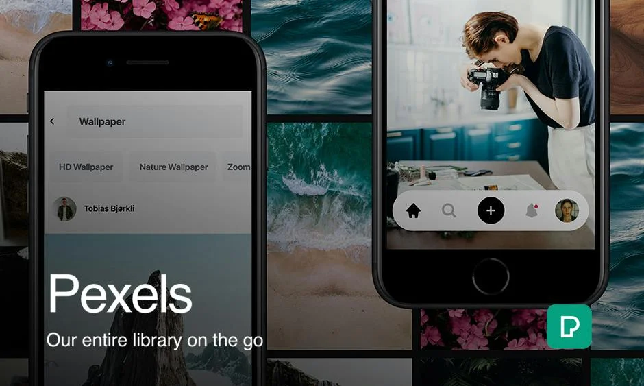 Pexels screenshot 3