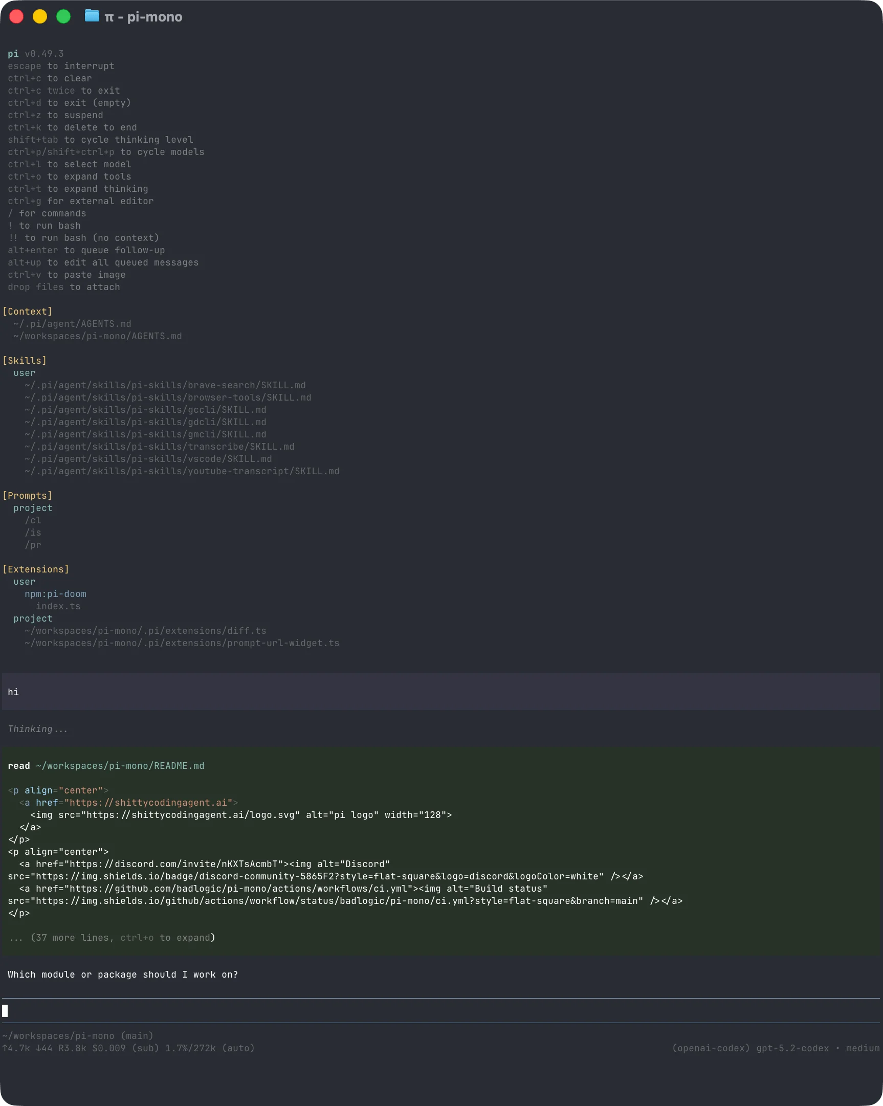 Pi Coding Agent screenshot 4