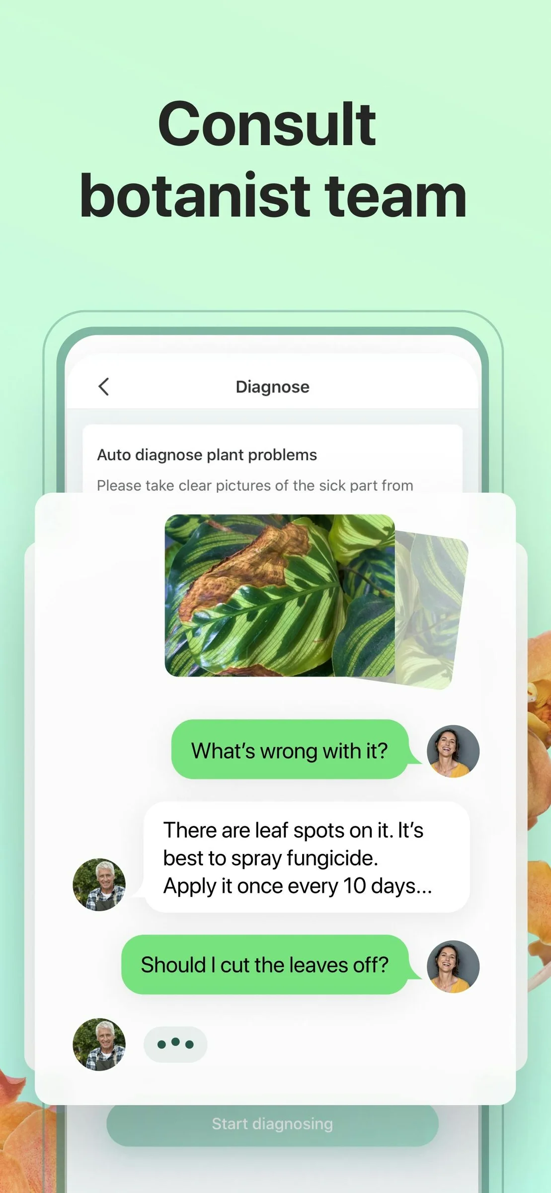 PictureThis screenshot 3