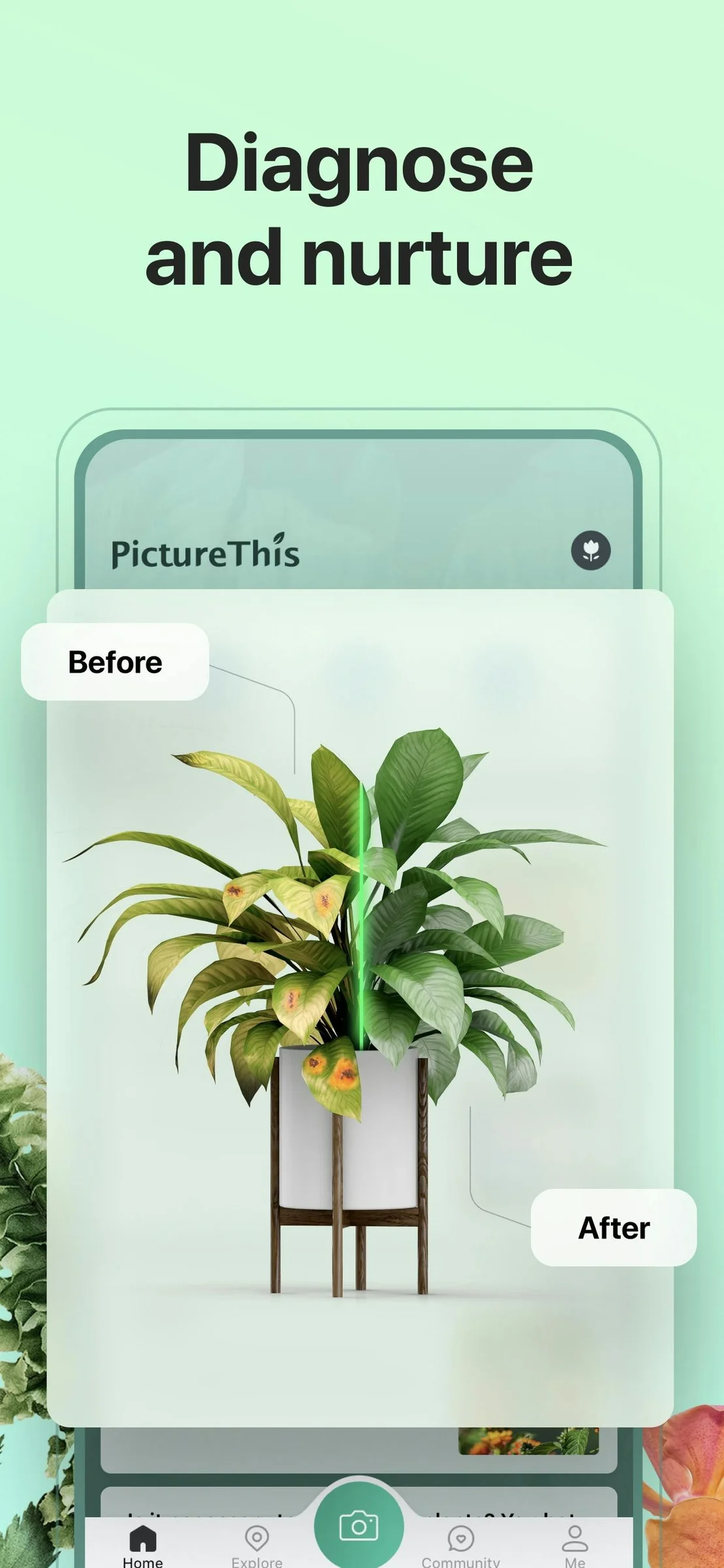 PictureThis screenshot 4