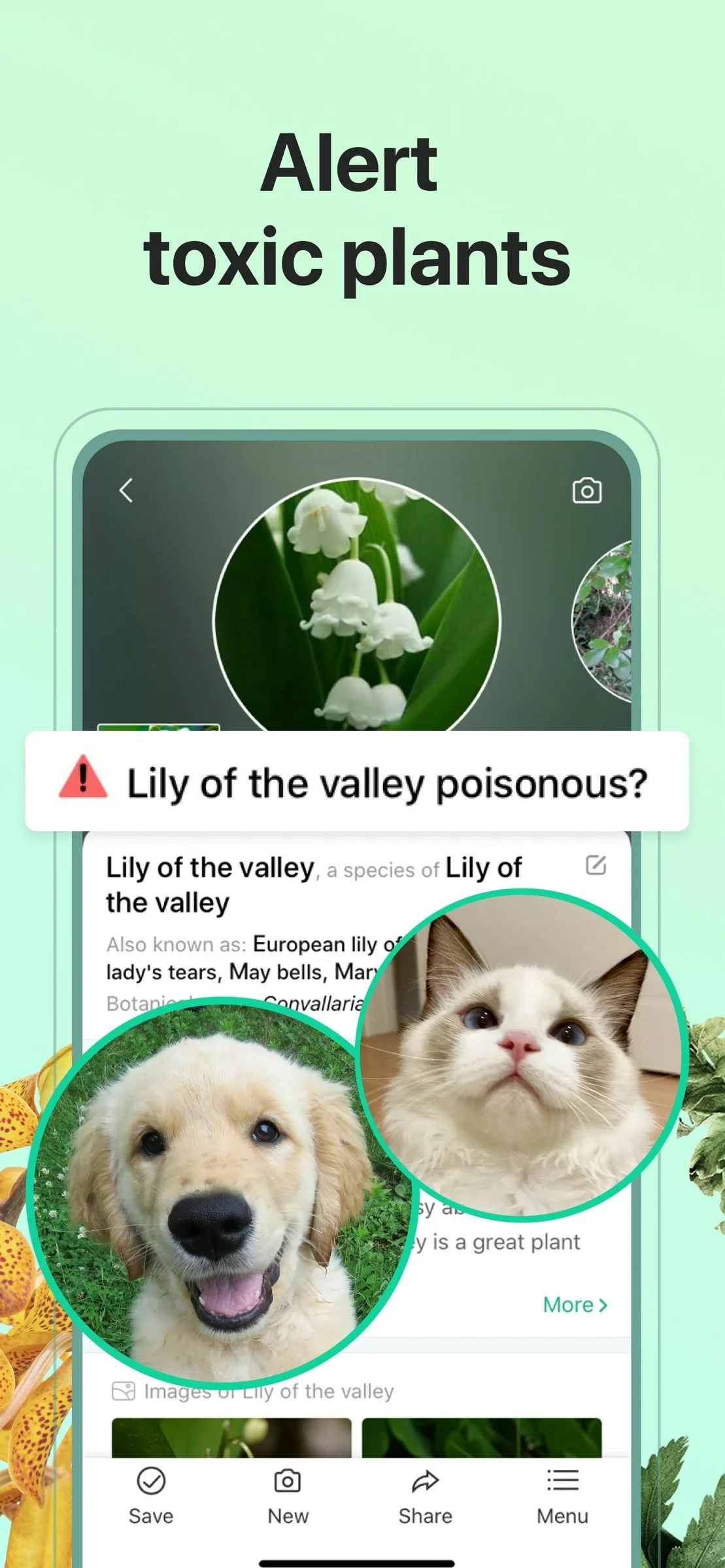 PictureThis screenshot 5