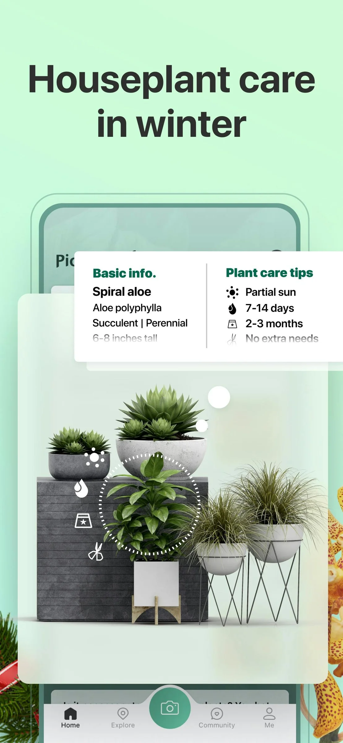 PictureThis screenshot 6