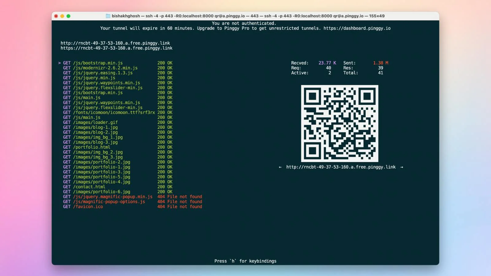 Pinggy screenshot 2