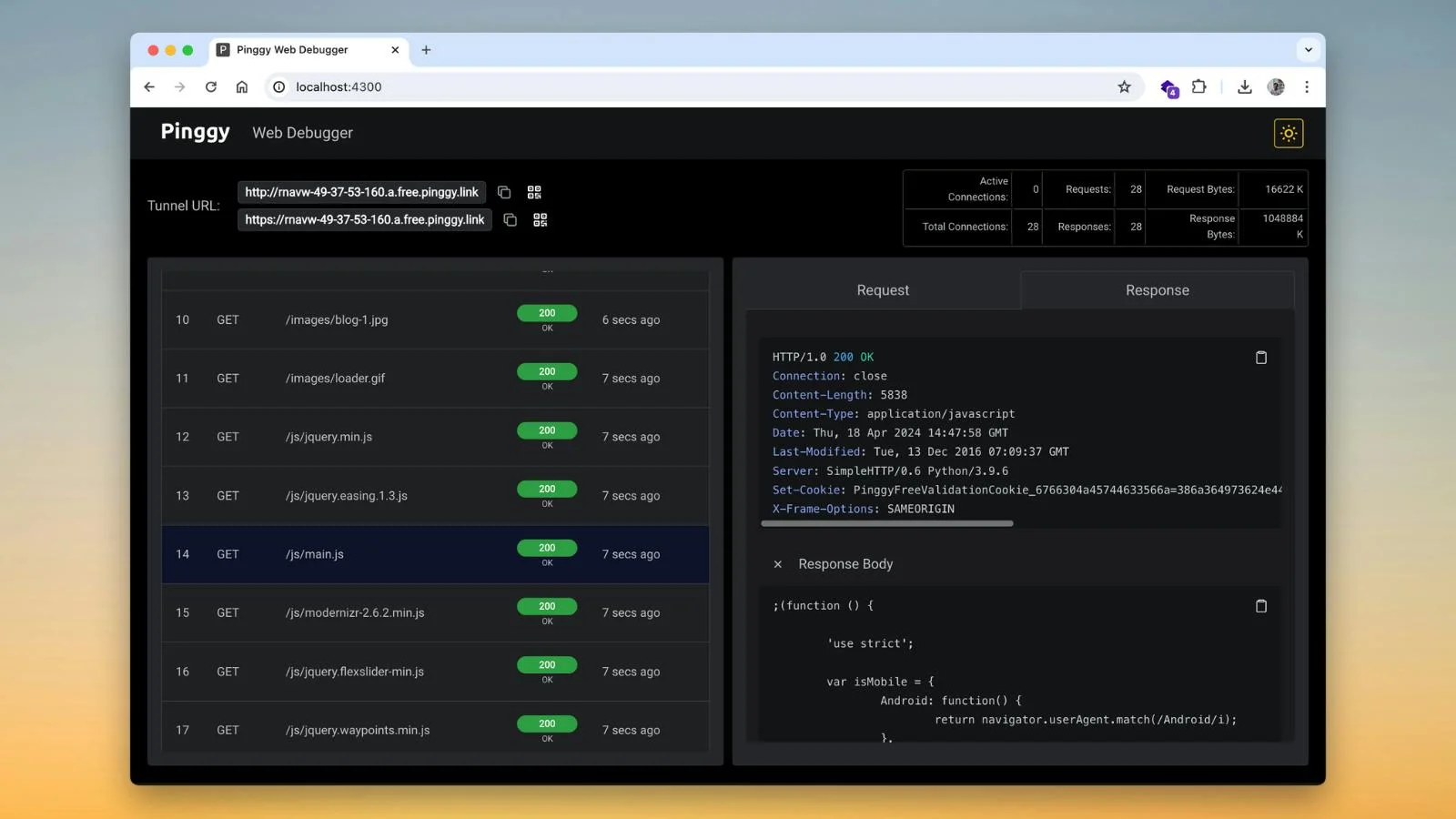 Pinggy screenshot 3