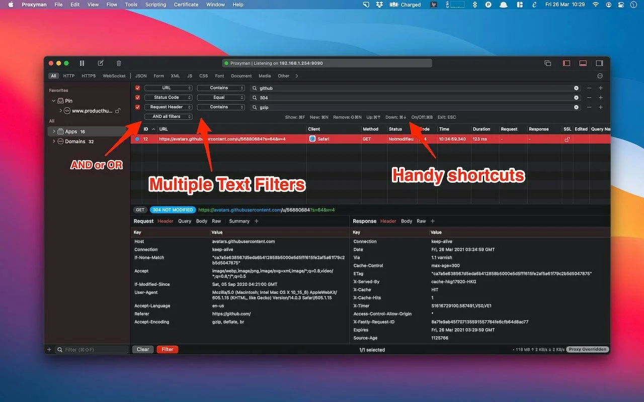 Proxyman screenshot 2