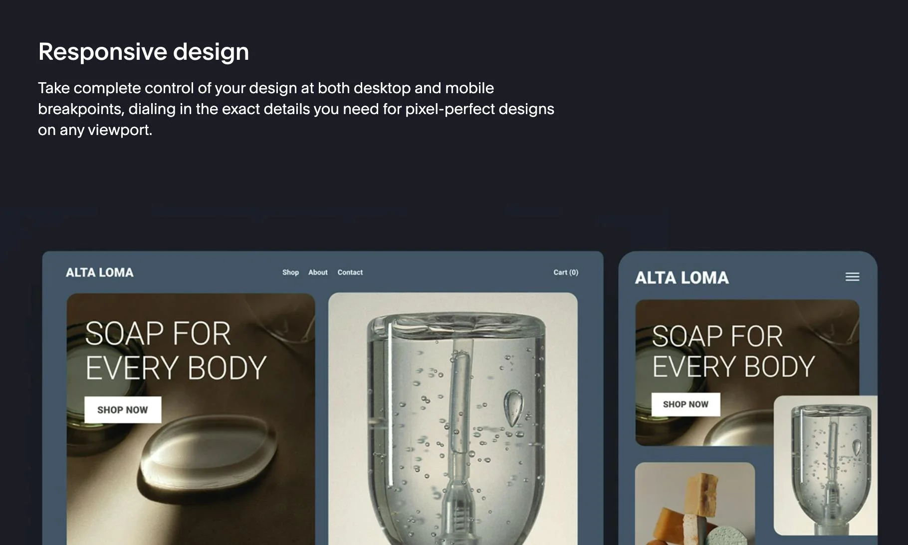 Squarespace screenshot 4