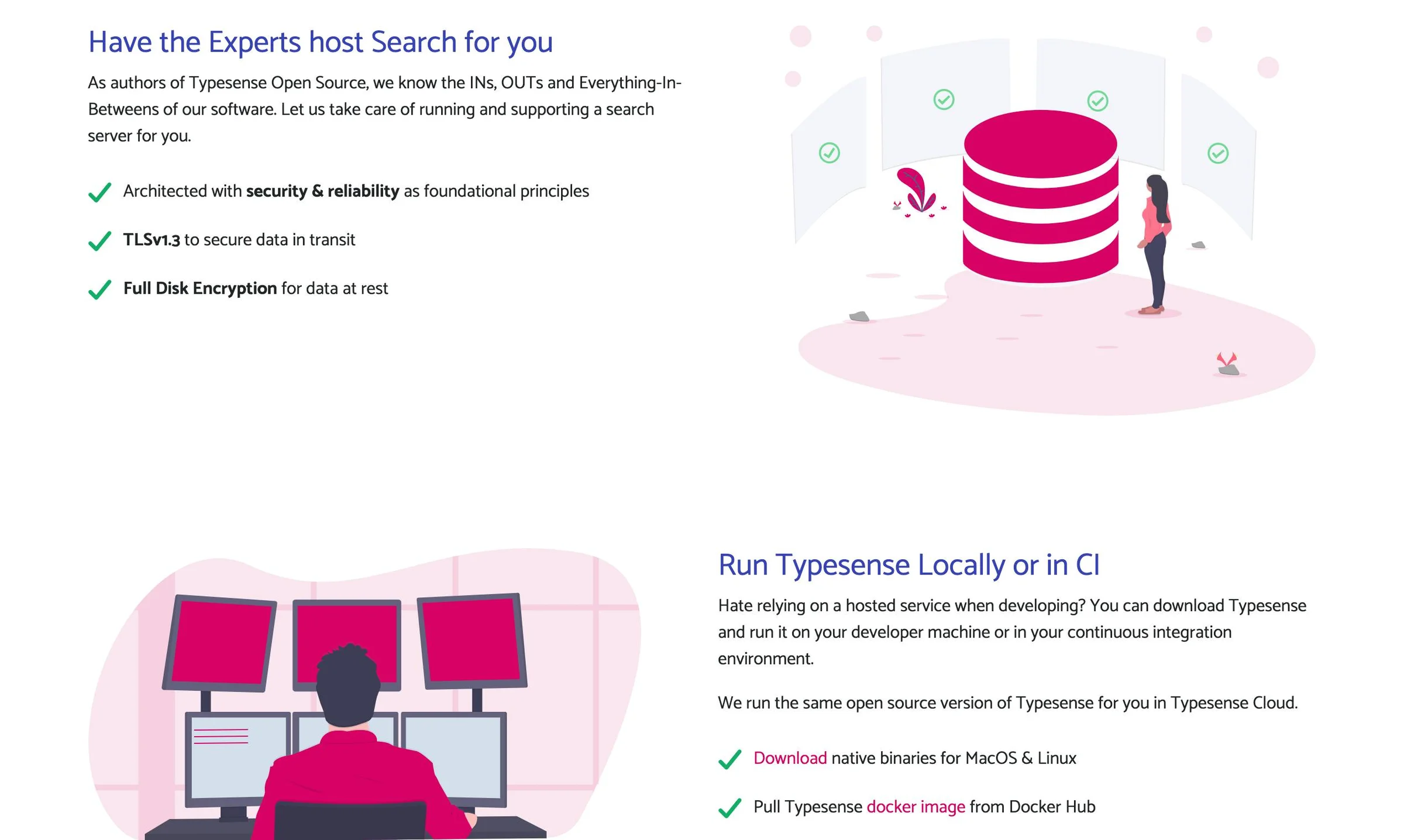 Typesense screenshot 2