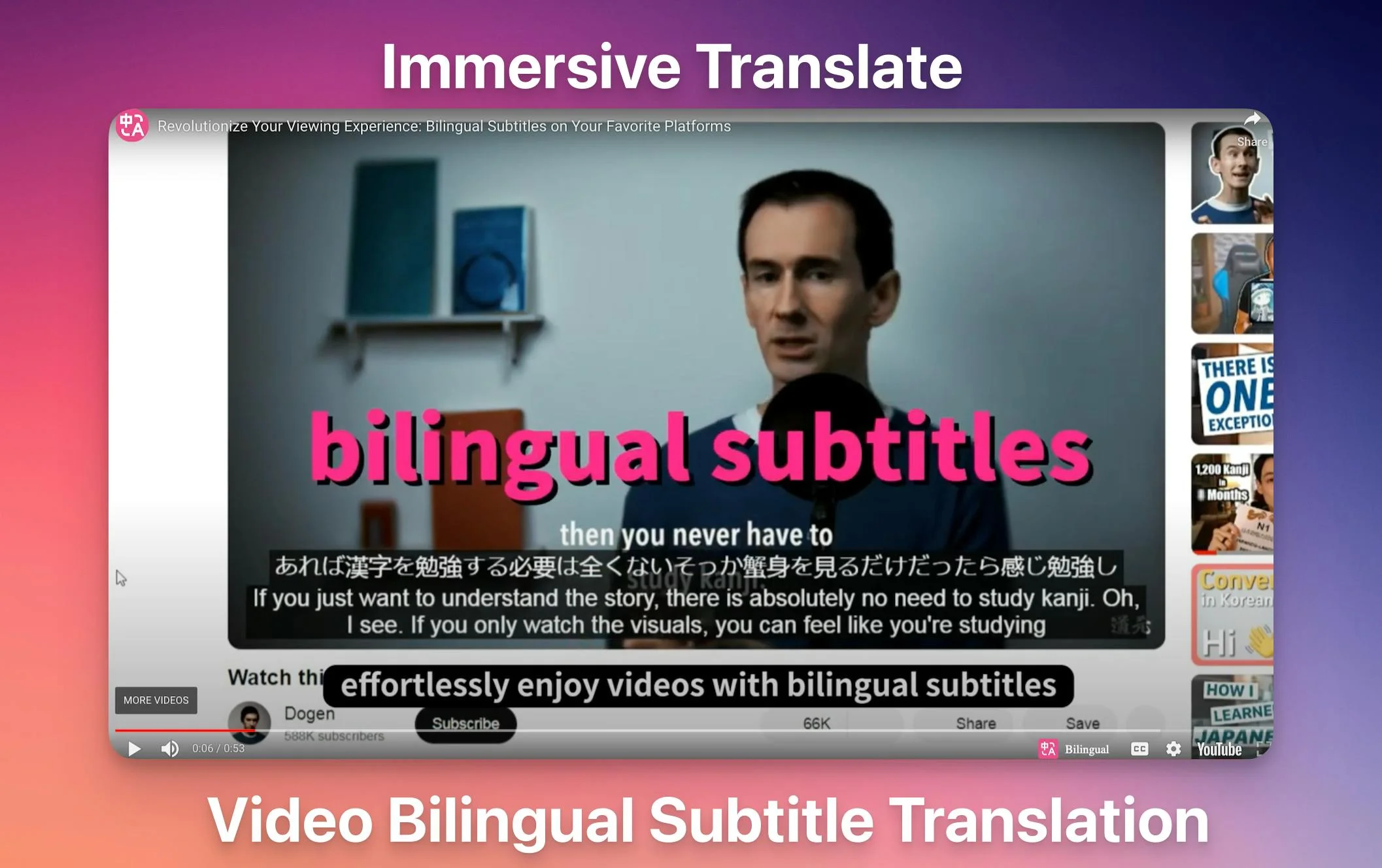 Immersive Translate screenshot 2