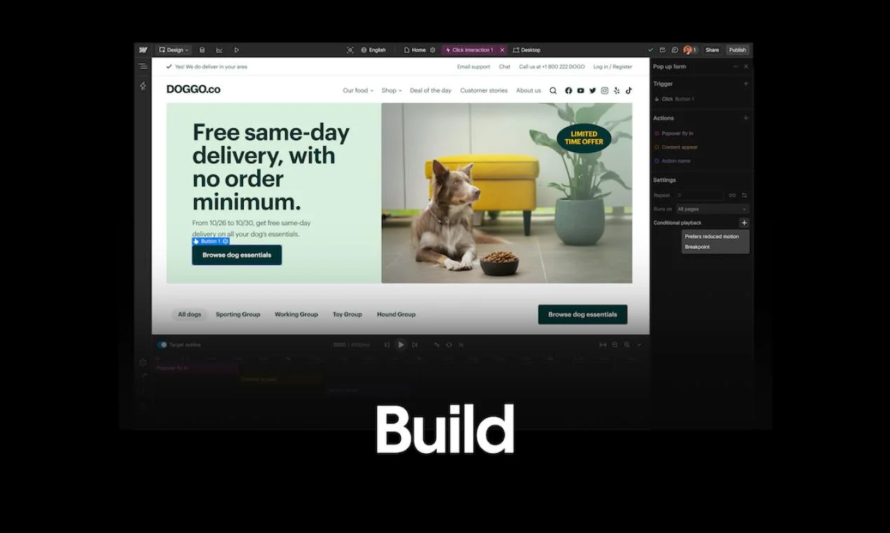 Webflow screenshot 3