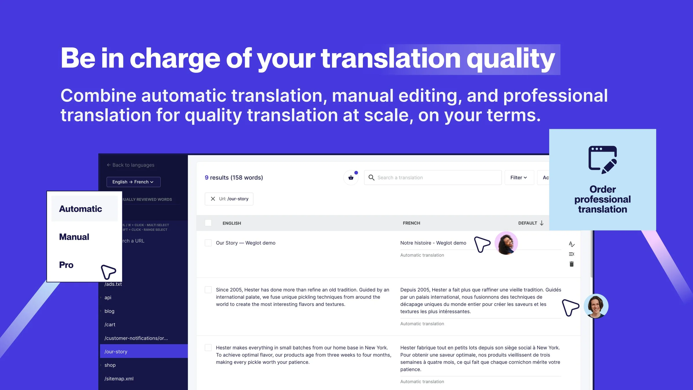 Weglot screenshot 2